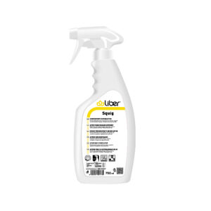 SQUIG DA 750 ML DISISCROSTANTE SCHIUMA ATTIVA